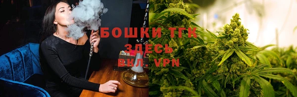 бошки Беломорск