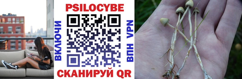 Галлюциногенные грибы мицелий Ворсма